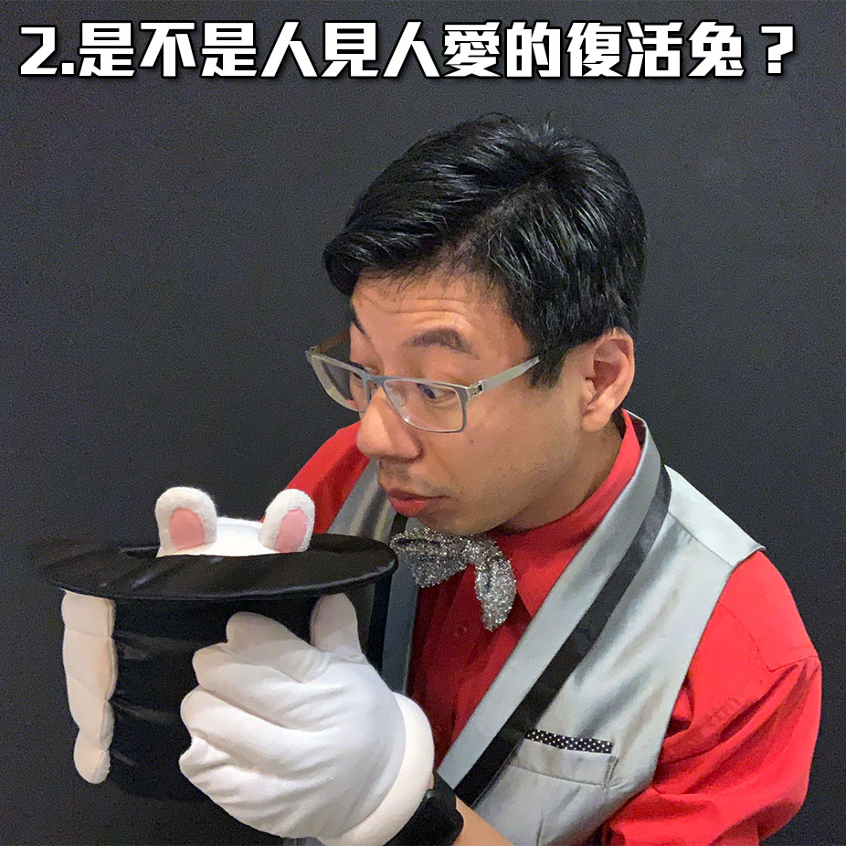 是不是人見人愛的復活兔？